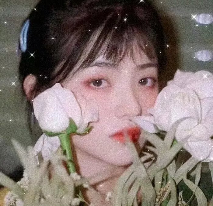 向日葵女孩 海报