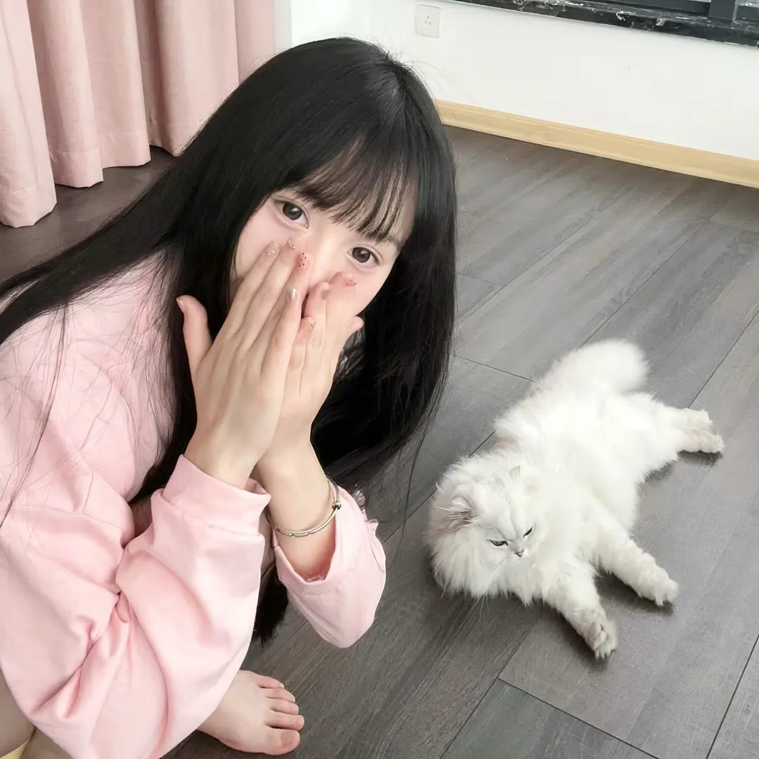 隆美尔传 海报